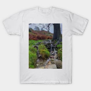 Tree Root Waterfall T-Shirt